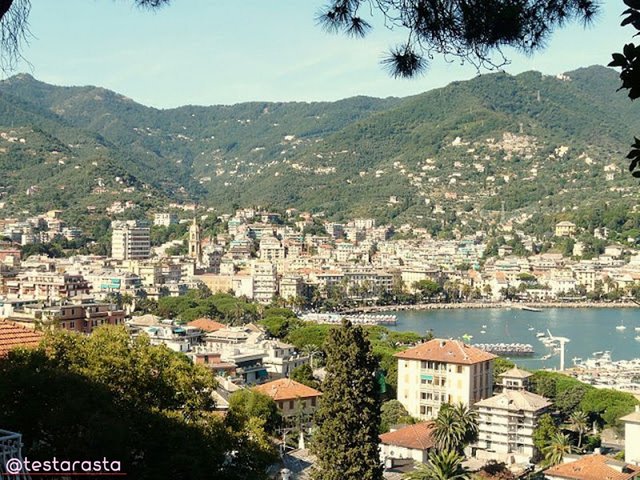 In Rapallo there is everything you need for a nice holiday on the Riviera. The historic center is crossed by the caruggio (via Mazzini), parallel to the promenade, with shops. 