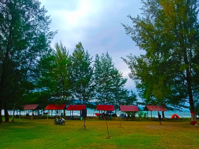 from the direction of the parking lot, you can see beautiful trees and the sea of Riting beaches