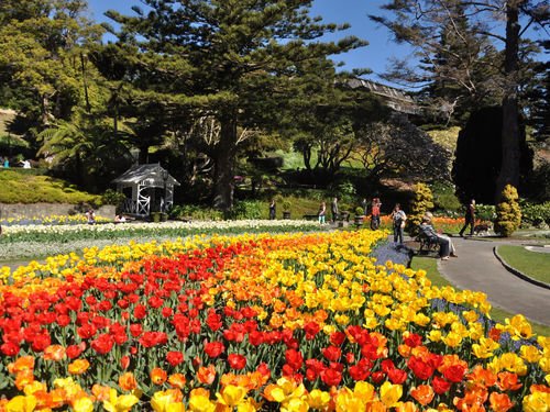 The gardens on a sunny day