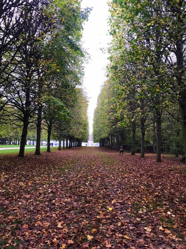 Versailles gardens 2019