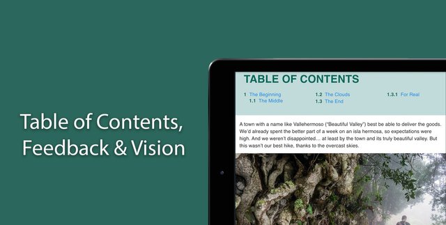 Table of Contents, Feedback & Vision
