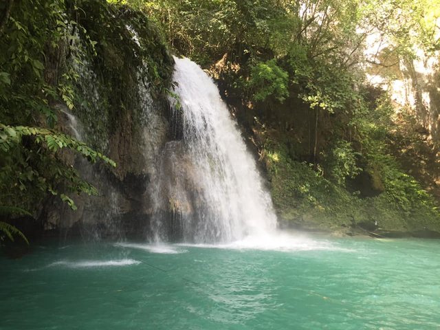 My unplanned getaway to Kawasan Falls and Basdaku White Beach