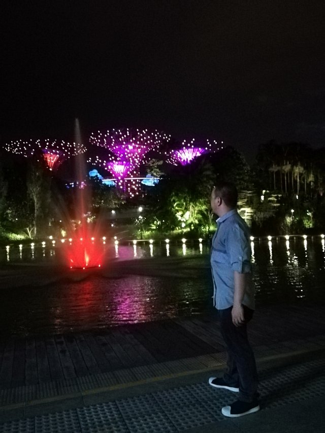 Night at Gardens By The Bay