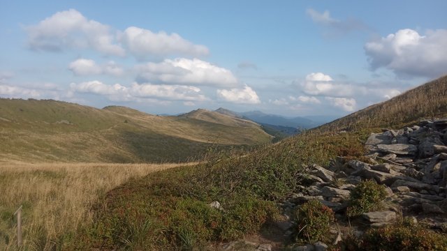 Połonina Wetlinska, w tle Połonina Caryńska i Tarnica (widok z podejścia na Osadzki Wierch)