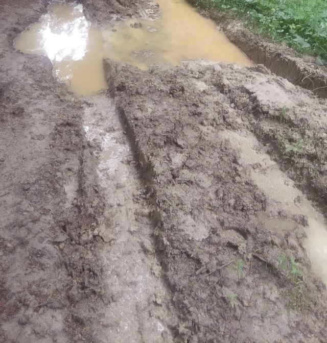 Beskid Niski powitał błotem