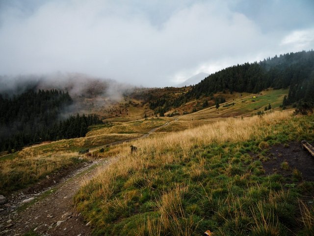 The path in the mountains