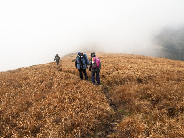 Through the fog along the ridge