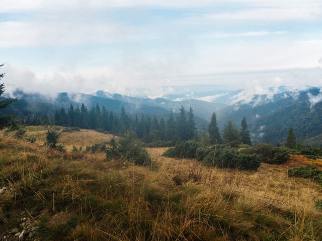 The mountain slope on which juniper grows