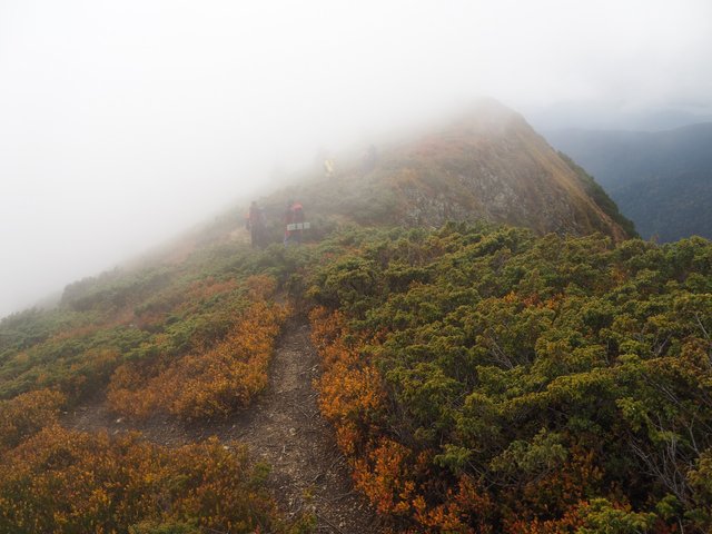 Along the ridge through the fog