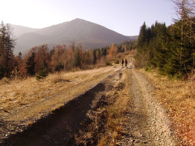 Path to the mountains