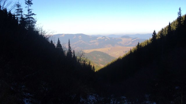 Clearance between two mountains covered with spruce forest