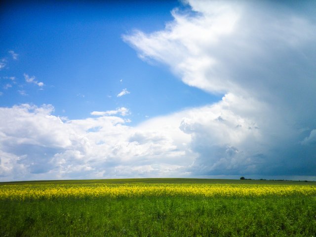 The sky looks very clear after the rain