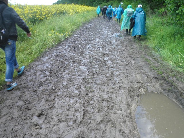 The dirt road turned into a swamp after rain