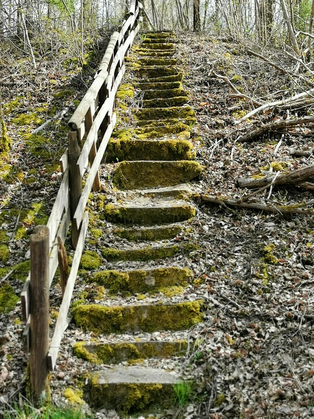 abandoned stairway to.............