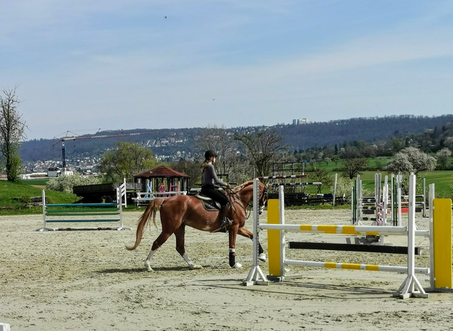 Riding school center on the way back....