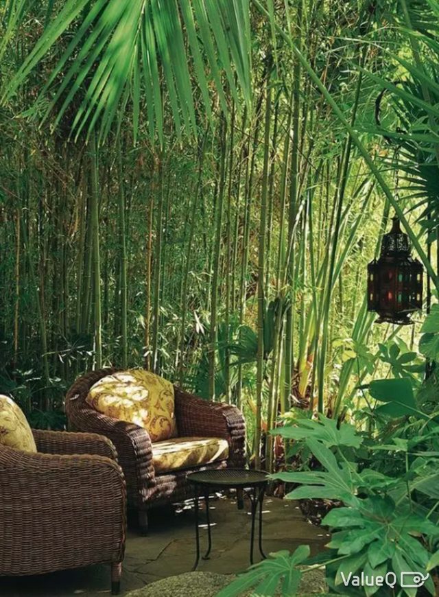 Here are Top 7  Bamboo-tiful Ways to Add a Breath of Summer Beauty to Your Home Photo 1
