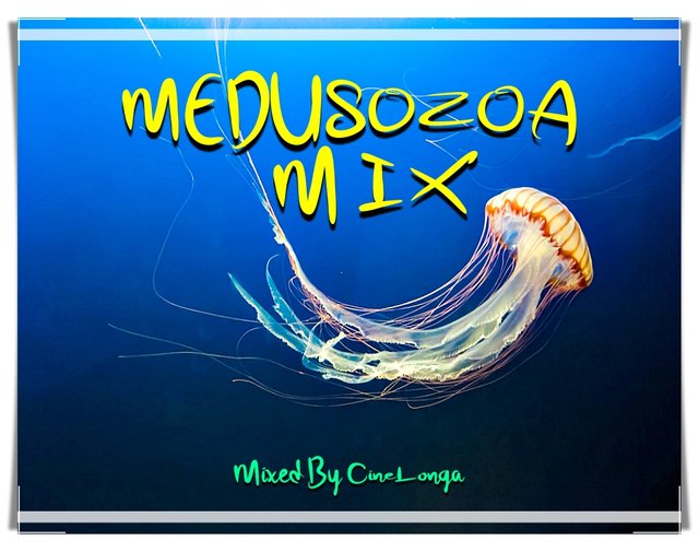 CineLonga-Medusozoa Mix.jpg