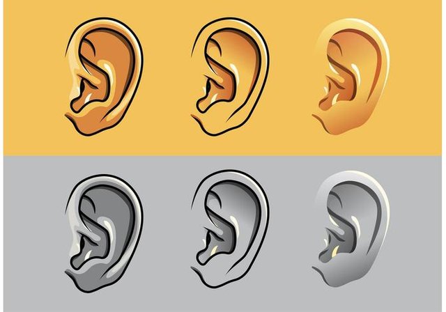human-ear-vectors 2.jpg