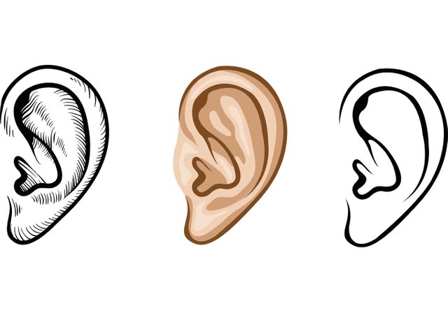 human-ear-vectors.jpg