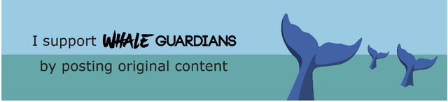 Screen Shot 2019-10-25 at 9.40.32 AM.png