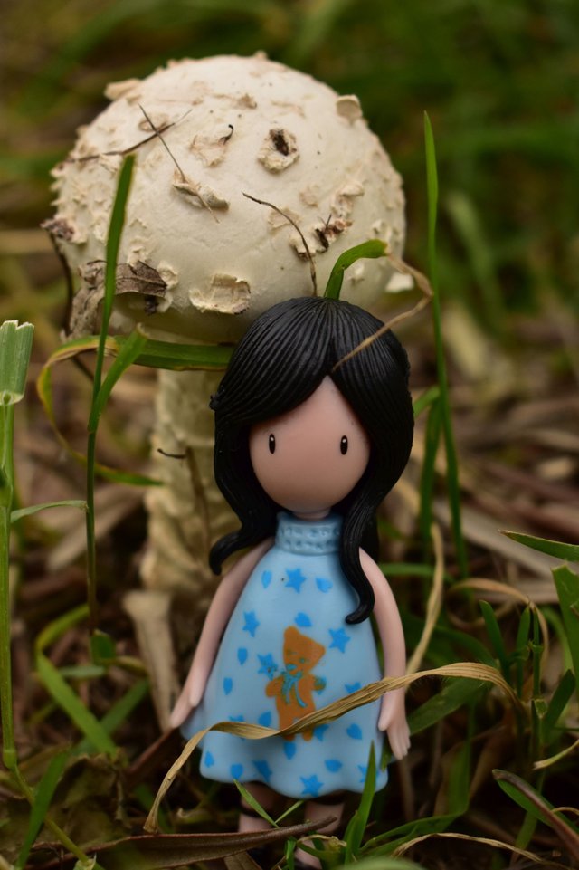 ruth-girl mushrooms (3).JPG