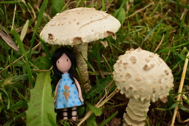 ruth-girl mushrooms (4).JPG