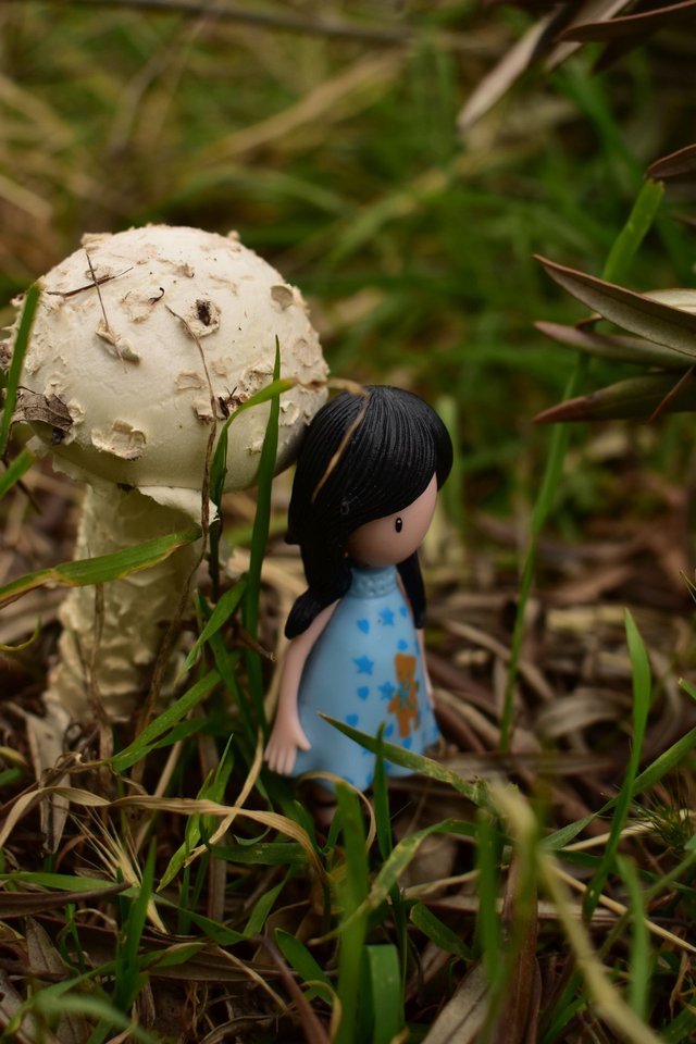 ruth-girl mushrooms (2).JPG