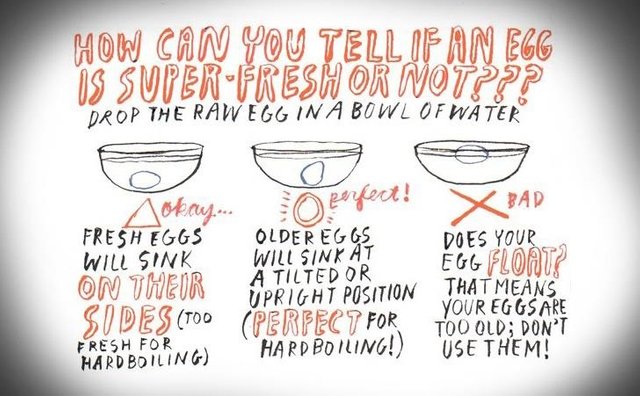 Know How To Determine If Your Egg Is Still Good Or Bad
