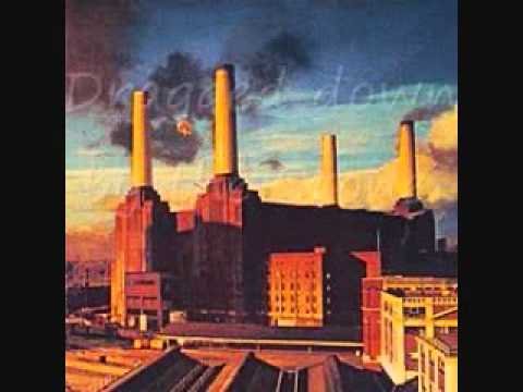 Dogs Pink Floyd