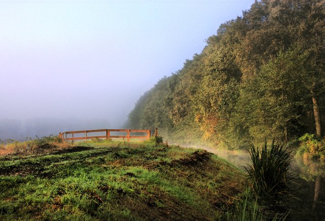 photography landscape playfulfoodie morning