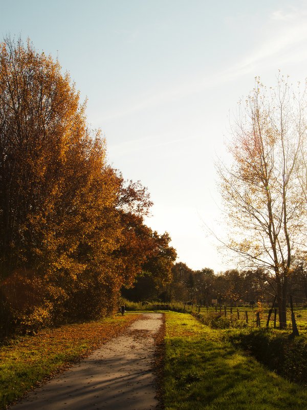 Autumn photography
