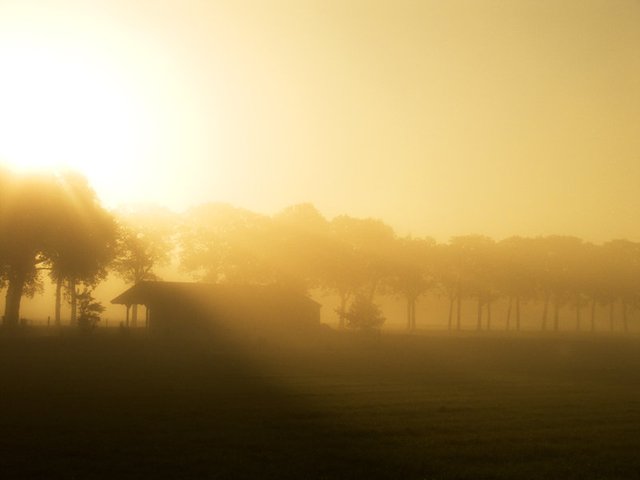 Misty barn