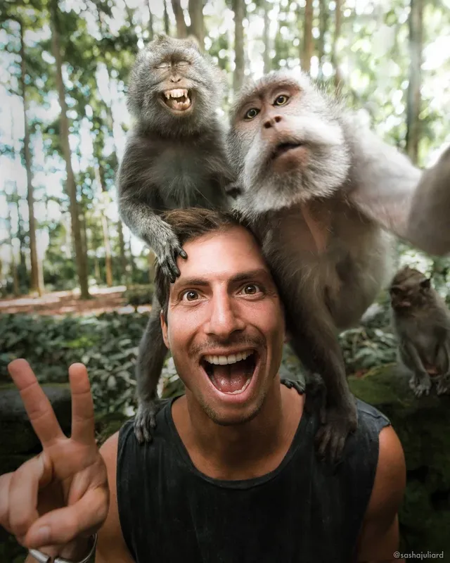 Monkey with photographer}