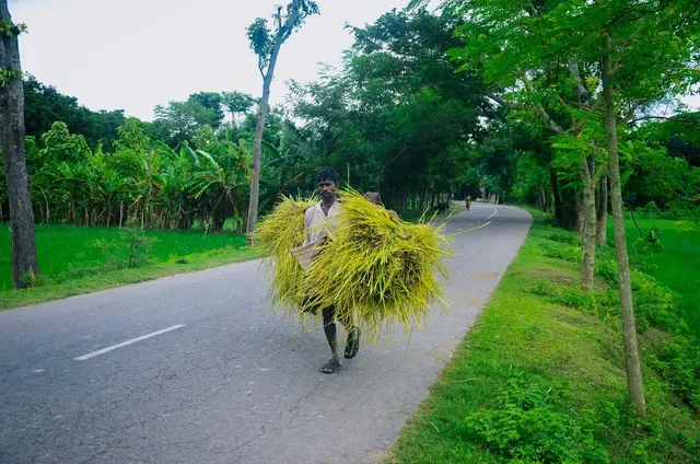 Countryside Village Farmer}