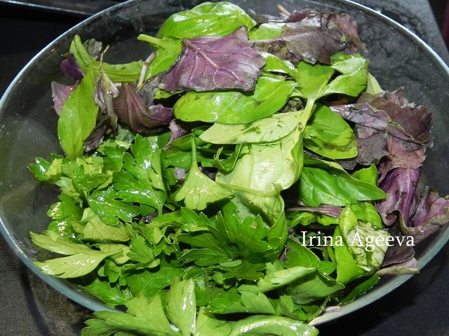 DSCN0041.jpg