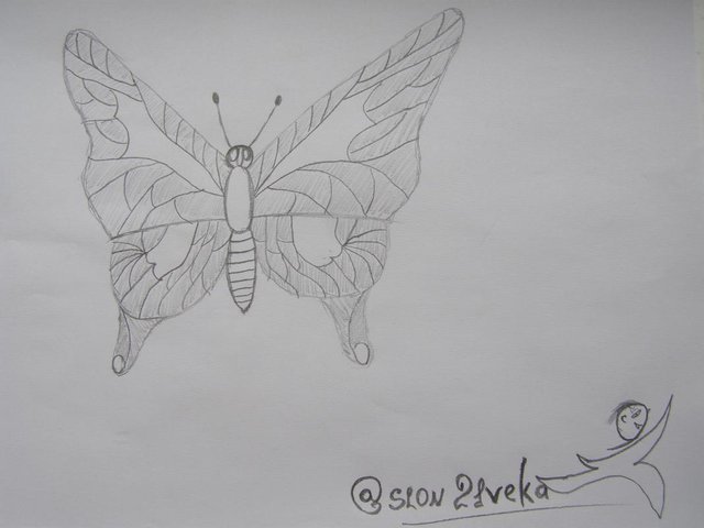 We Learn To Draw A Butterfly With A Simple Pencil Steemit