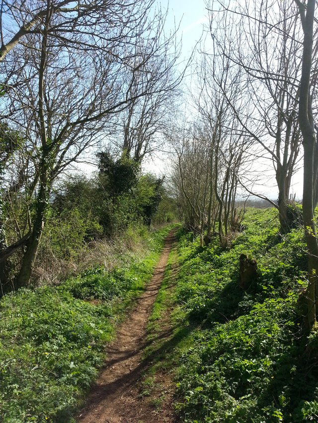 Pathway
