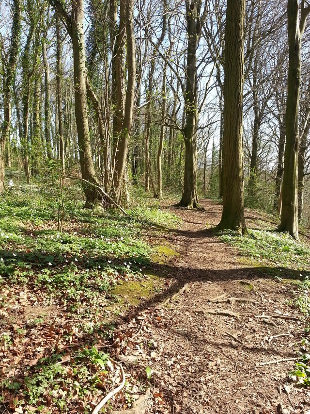 NewLife2