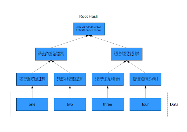 Merkle trees are binary trees of hashes. Each node in the Merkle tree hashes its input data. Nodes concatenate the hashes of their children before hashing.