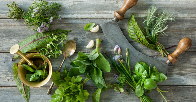 Organic Botanicals