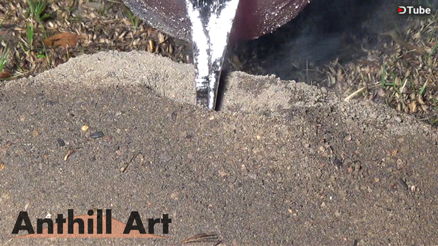 fire ant hill art