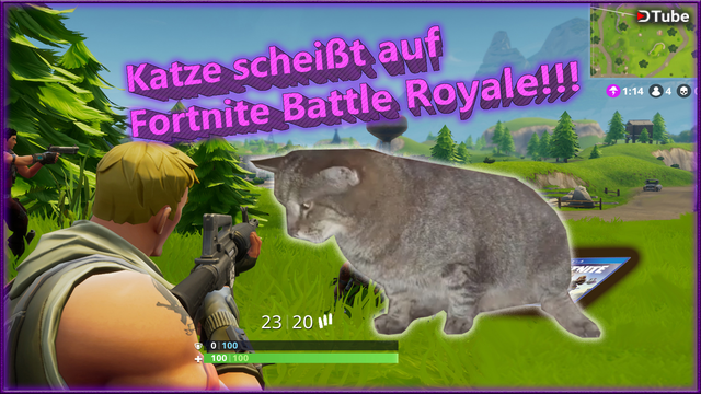 My Cat Felix Shits On The Fortnite Game Steemit