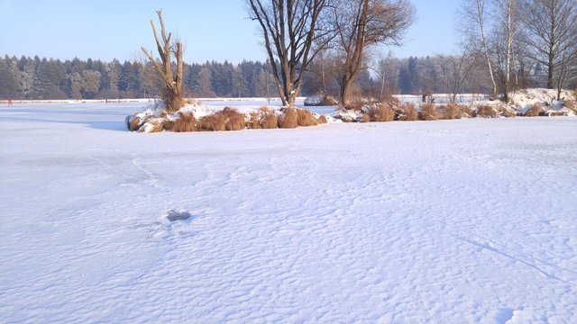 weitmannsee-frozen-h