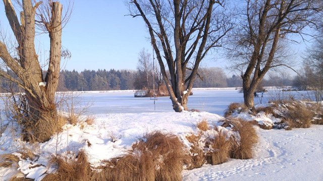 weitmannsee-frozen-h