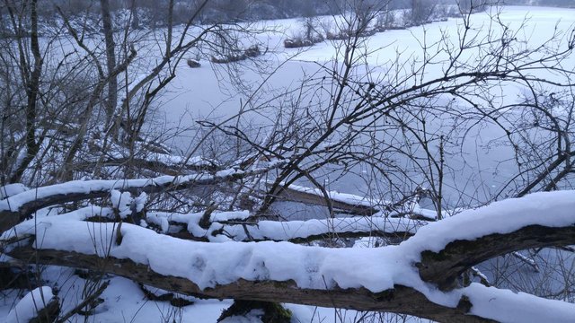 weitmannsee-frozen-g