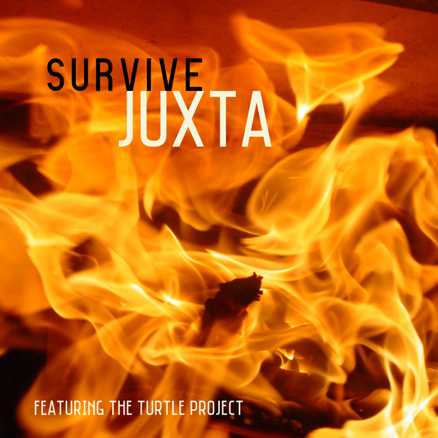 Summer Sun (Reprise) by Juxta