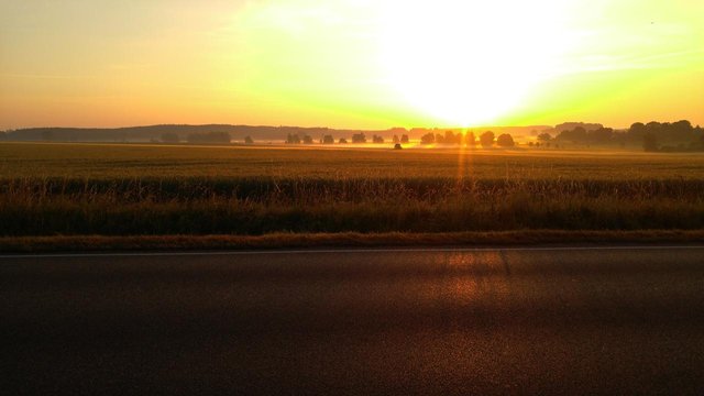 fields-in-the-morning-sun-d