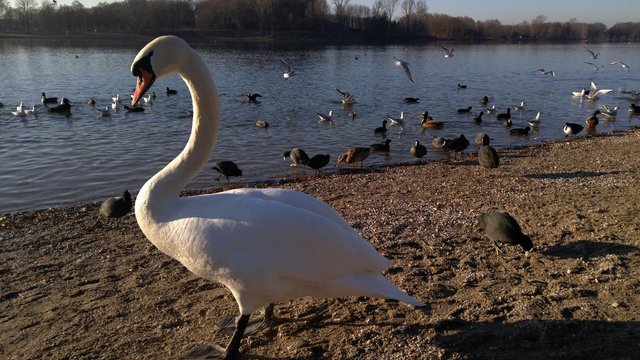 ohai-karlsfelder-see-u