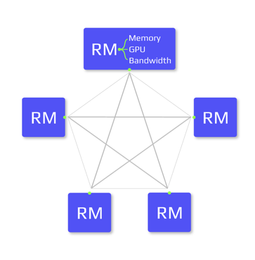 rm-network.png