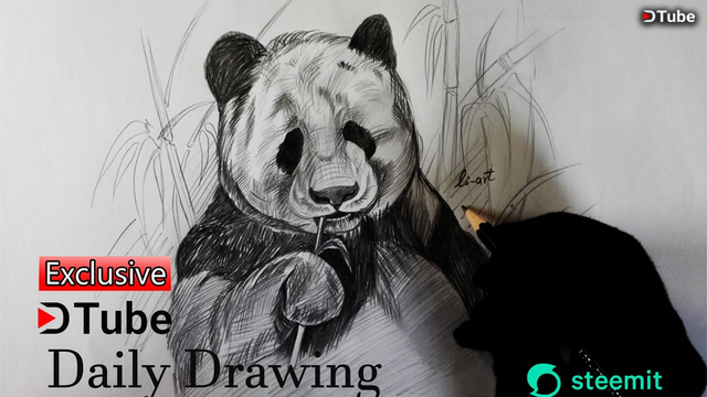 How To Draw Panda In Bamboo Forest In Minutes Art By Li Art Daily Dtube Videos Steemit